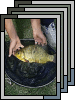 [Fishing Sept 2005]